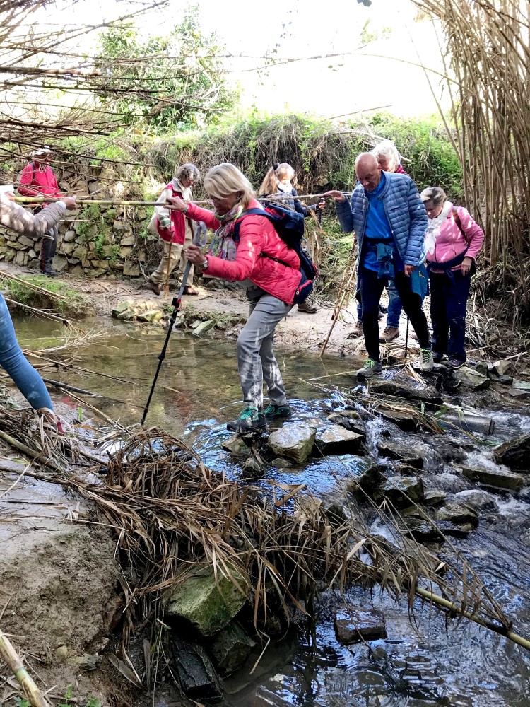 Bergstappers1 (Custom) Bergstappers1 (Custom)