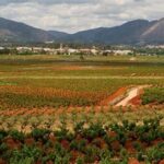 stadswandeling Jalon