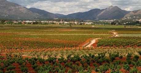 stadswandeling Jalon