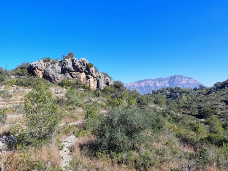 Bergstappers 7 maart