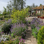 Tuinclub bezoek tuin