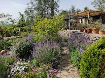 Tuinclub bezoek tuin